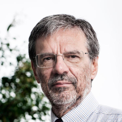 Carlos Henrique de Brito Cruz